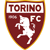 Torino Logo