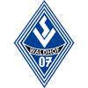 Waldhof Mannheim Logo